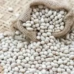 Постійна закупівля квасолі від агровиробників