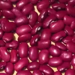 Квасоля сортова оптом. 20+ сортів з доставкою