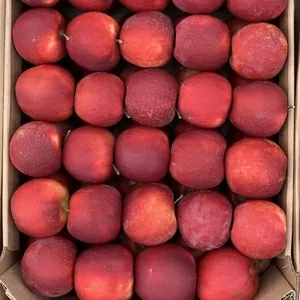 Продам яблоки со своего сада,  урожай 2019 г