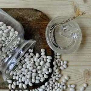 Куплю квасолю. Закупка квасолі. 