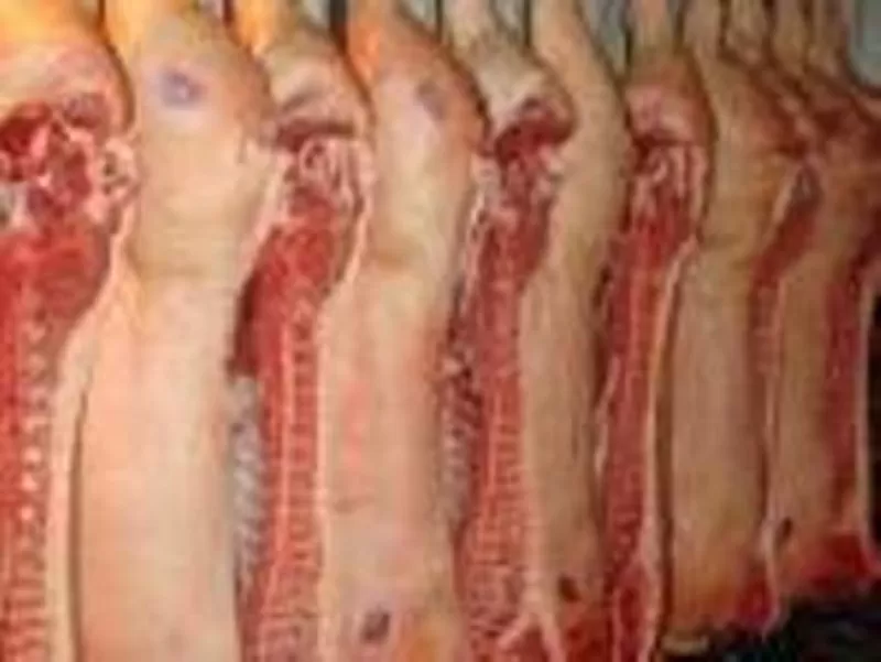 продаю мясо свинины в полутушах,  разделанное