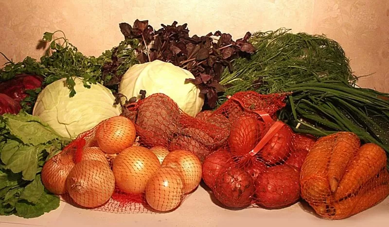 Заключаем договора на поставку свежих овощей