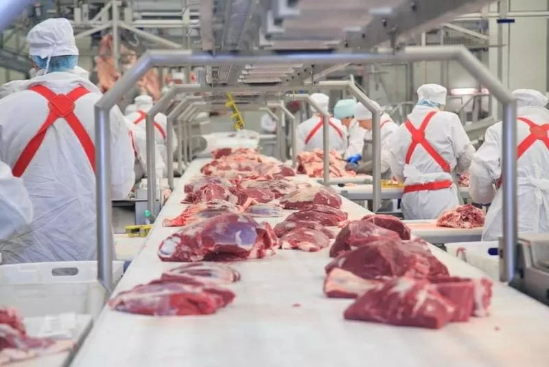 Работа на производственных линиях мясокомбината в Польше