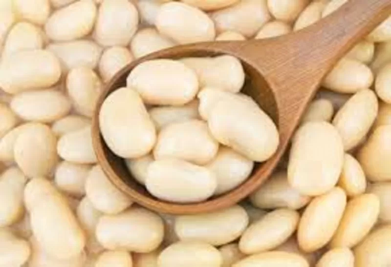  Компанія-переробник здійснює закупівлю квасолі